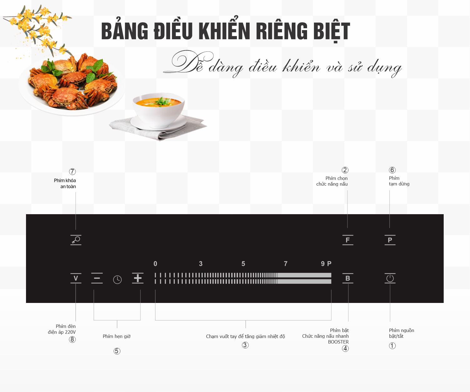bếp từ đôi