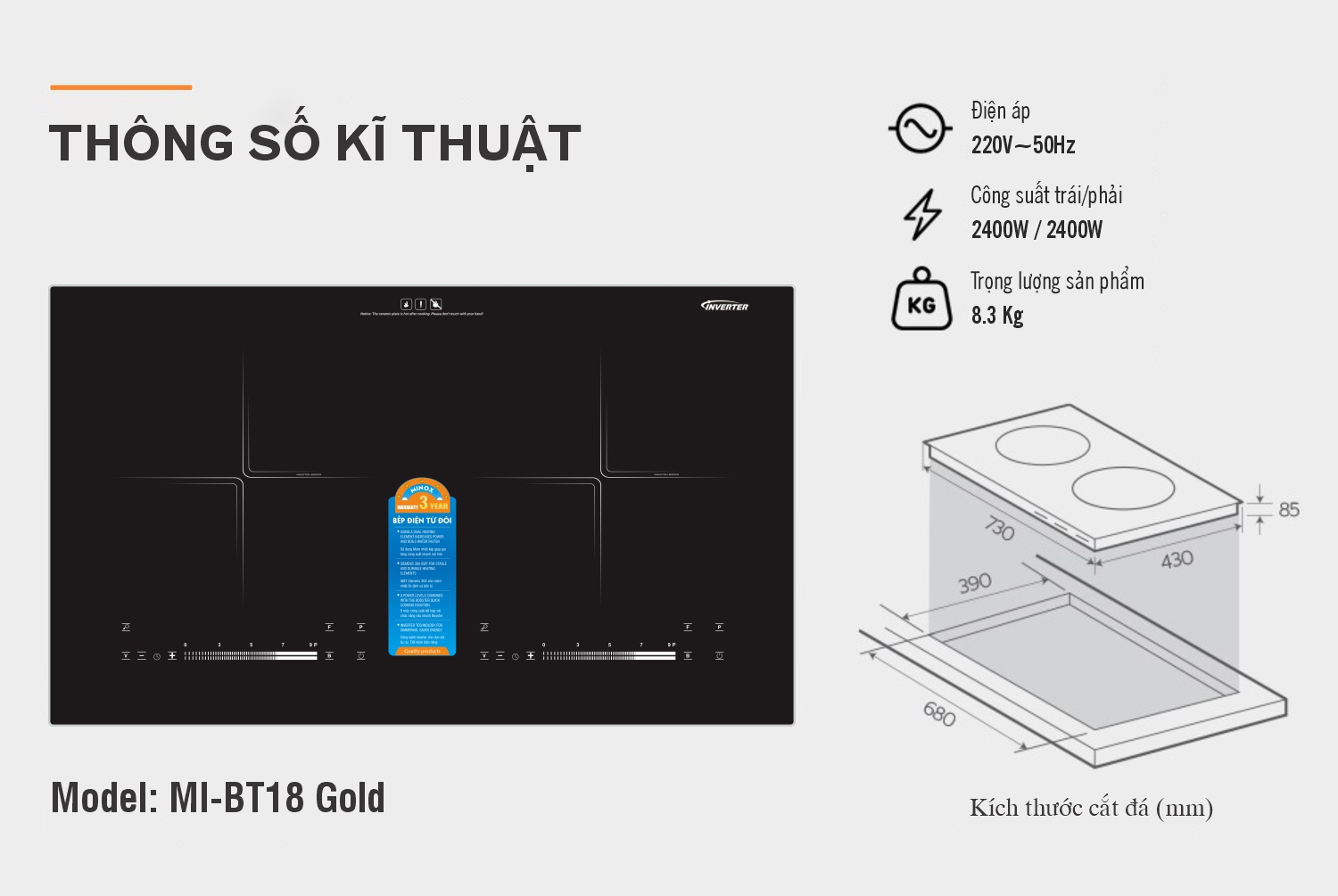 bếp từ đôi